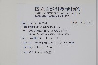 登錄號:S121772藏品圖，第2張