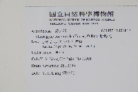 哈哼花藏品圖，第2張