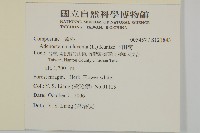 下田菊藏品圖，第2張
