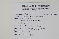 酸藤藏品圖，第2張