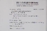 鵝掌柴、江某、鴨腳樹藏品圖，第5張