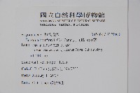 九九峰秋海棠藏品圖，第2張