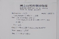 吉貝棉藏品圖，第2張