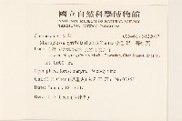 小舌菊、蔓綿菜藏品圖，第2張