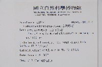 臺灣馬藍藏品圖，第2張