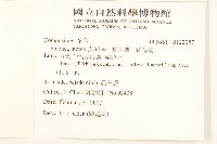 鯽魚膽、闊苞菊藏品圖，第2張