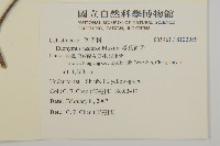 菱葉衛矛藏品圖，第2張