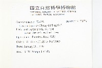 日本菟絲子藏品圖，第2張