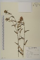 登錄號:S122098藏品圖，第1張