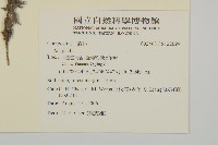 登錄號:S122099藏品圖，第2張