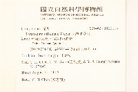 西洋蒲公英藏品圖，第2張