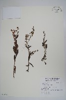 登錄號:S122121藏品圖，第1張