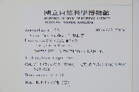 反枝莧藏品圖，第2張