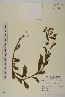 登錄號:S122165藏品圖，第1張