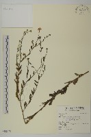 登錄號:S122170藏品圖，第1張