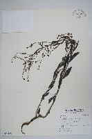 登錄號:S122176藏品圖，第1張