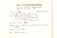 鵝仔草藏品圖，第2張