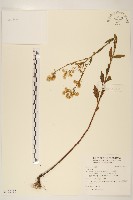 登錄號:S122187藏品圖，第1張