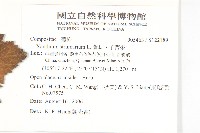 蒼耳、羊帶來藏品圖，第2張