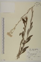 登錄號:S122190藏品圖，第1張