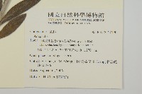 登錄號:S122190藏品圖，第2張