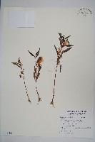 登錄號:S122191藏品圖，第1張