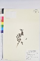 登錄號:S122192藏品圖，第1張