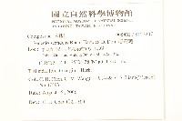 蔓黃菀藏品圖，第2張