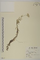 登錄號:S122235藏品圖，第1張