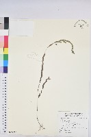 登錄號:S122267藏品圖，第1張