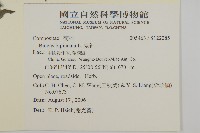 鬼針藏品圖，第2張