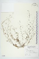 登錄號:S122294藏品圖，第1張