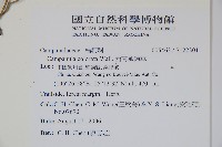 西南風鈴草藏品圖，第2張