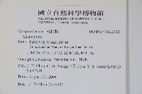 登錄號:S122302藏品圖，第2張