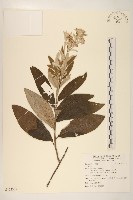 登錄號:S122339藏品圖，第1張