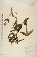 登錄號:S122362藏品圖，第1張