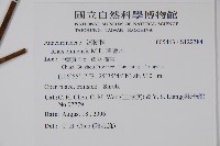 鹽膚木藏品圖，第2張