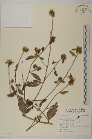 登錄號:S122391藏品圖，第1張