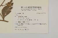 登錄號:S122391藏品圖，第2張