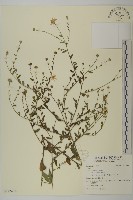 登錄號:S122404藏品圖，第1張