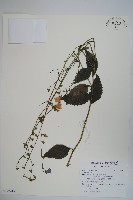 登錄號:S122415藏品圖，第1張