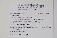 登錄號:S122415藏品圖，第2張