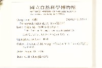 鵝仔草藏品圖，第2張