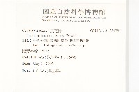 海牽牛藏品圖，第2張