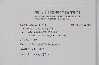 向天黃藏品圖，第2張