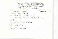 土丁桂藏品圖，第2張