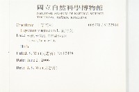 獨行菜藏品圖，第2張