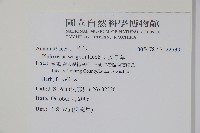 安旱草藏品圖，第2張