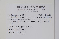 台灣牛皮消藏品圖，第2張