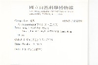 野艾蒿藏品圖，第2張